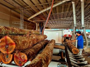 Dư địa để phát triển ngành công nghiệp hỗ trợ còn rất lớn